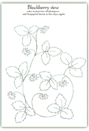 Blackberry vine and leaf outline template