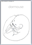 Dormouse outline activity
