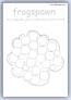 Frogspawn outline template