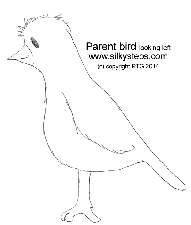Parent bird looking left