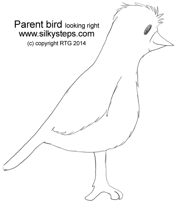 Parent bird looking right