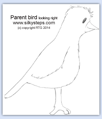 Right side view parent bird