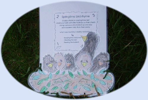 5 baby bird chicks in a springtime nest