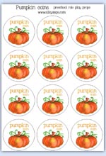 Pumpkin token coins
