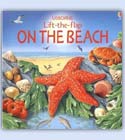 Explore the treasure to be found on a beach