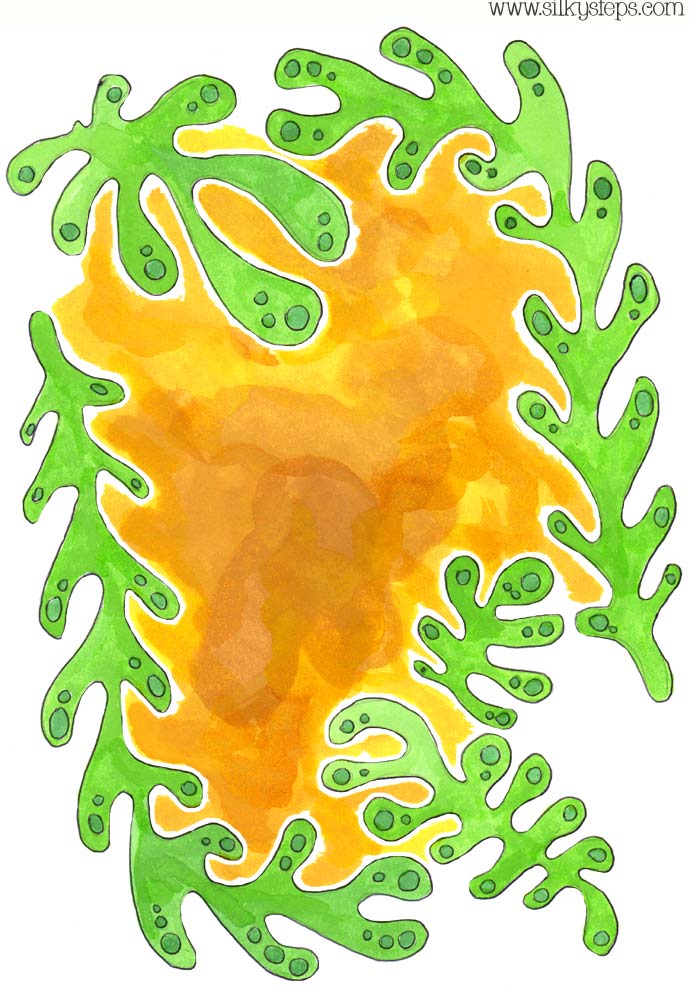 Watercolour illustrated seaweed picture for preschool math and rhyme activities