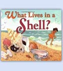 What lives in a shell? preschool story book