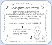 5 baby chicks in a spring time nest