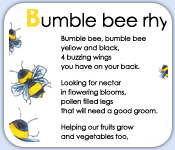 Bumble bee pollination rhyme - preschool nursery and home learning