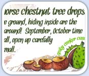 Collecting conkers nursery rhyme