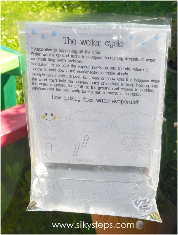 Evoporation science project preschool nursery the water cycle