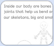 Skeleton bones rhyme