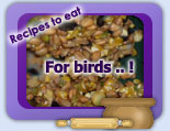 Bird seed cake recipe ..
