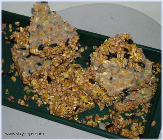 Bird seed cake mix - winter feeding plan information