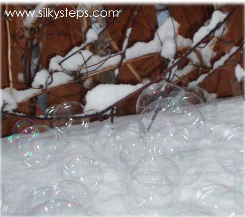 Frozen bubbles blown outside during winter snow