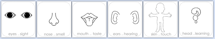sensory learning