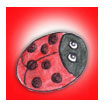 stop - red - traffic light ladybug