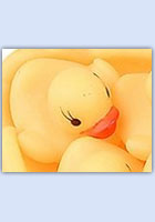 Floating ducks in water activities