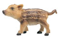 Wild piglet exploring - role play resources