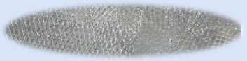 Silver netting wing stamp