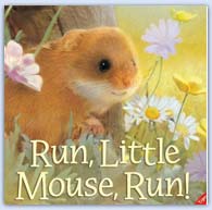 Run little mouse run - harvest time story book for children's preschool book shelf