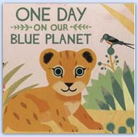 One day on our blue planet