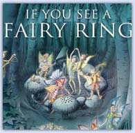 If you see a fairyring ..