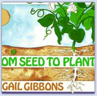 From seed to plant - growing cycles