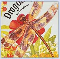 Dragonfly lifecycle picture storybook