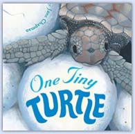 One tiny turtle