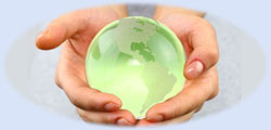Learning areas and statements that aim to support children's knowledge, understanding and development