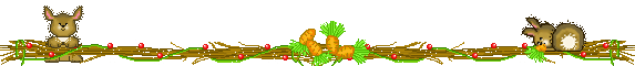 Rabbit carrots