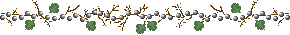 Blackberry branch