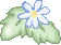 Daisy leaf green