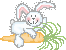 Rabbit's carrot ..