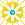 Daisy sun