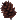 Fir cone