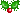 holly