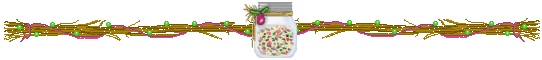 Mixed fruit jar - plum pudding