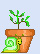 Spring time resources - planting and lifecycles