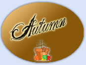 Silkysteps autumn fall themed store ..