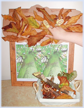 Bouncy squirrel role play activities