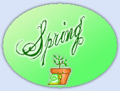 Silkysteps spring themed store ..