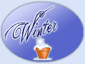 Silkysteps winter themed store ..